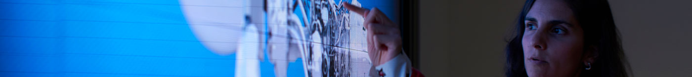 Bild zu Knowledge Management Process Owner